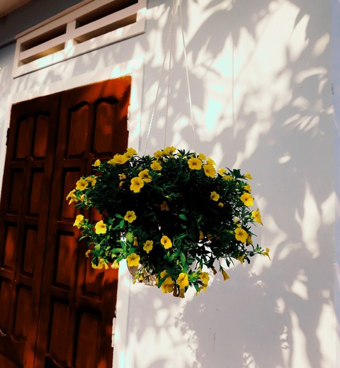Tết