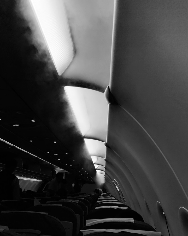 In the flight