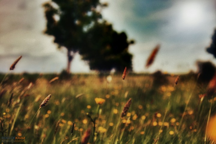 Landschap