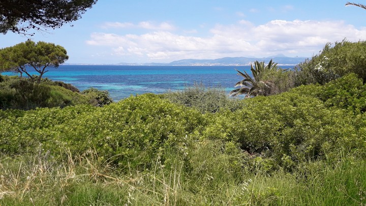 Blue Bay