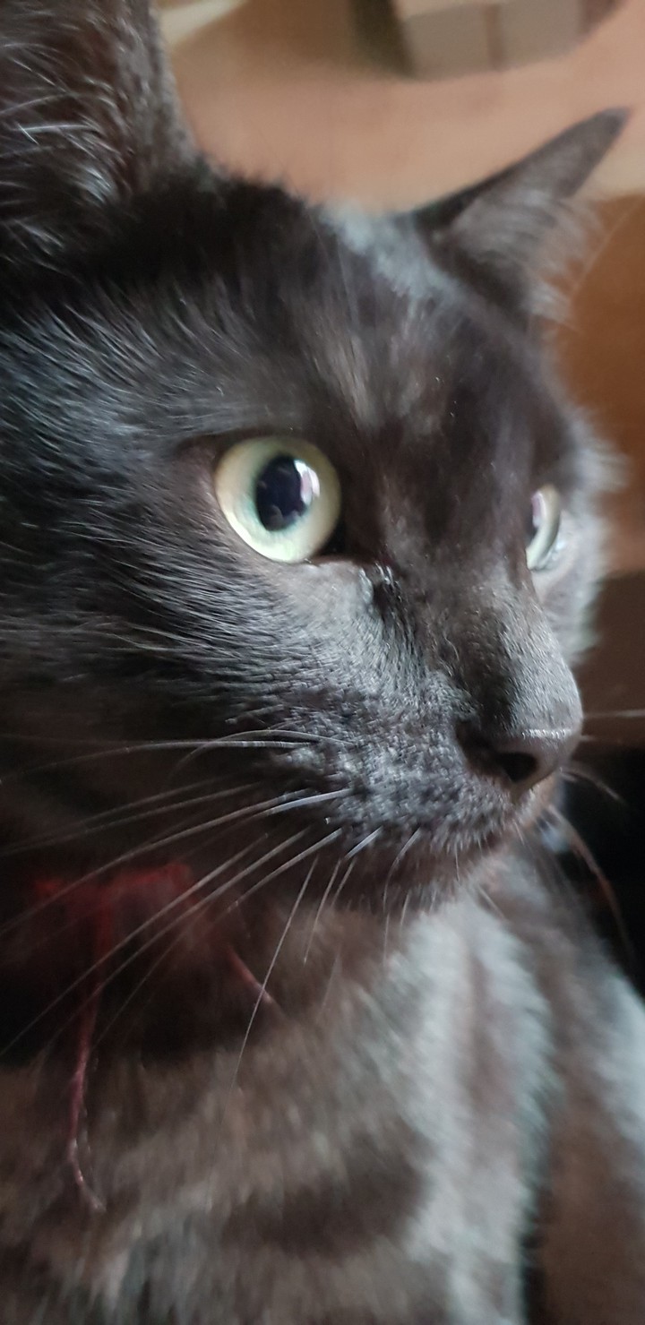 Mon bébé