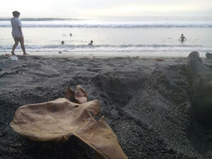 holiday