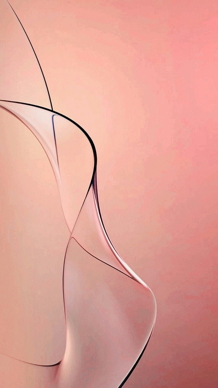 Rose detail