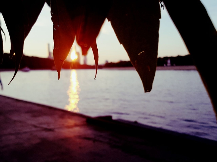 #sun