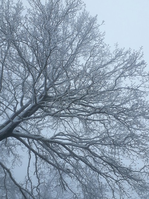 winterwonderland