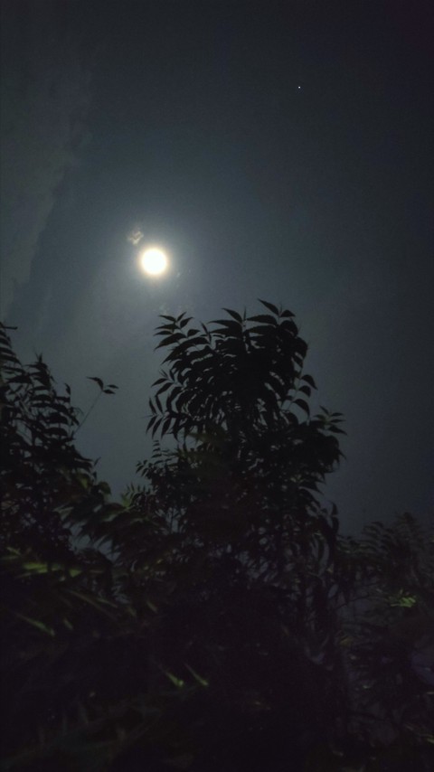 moon, cloud wallpapers