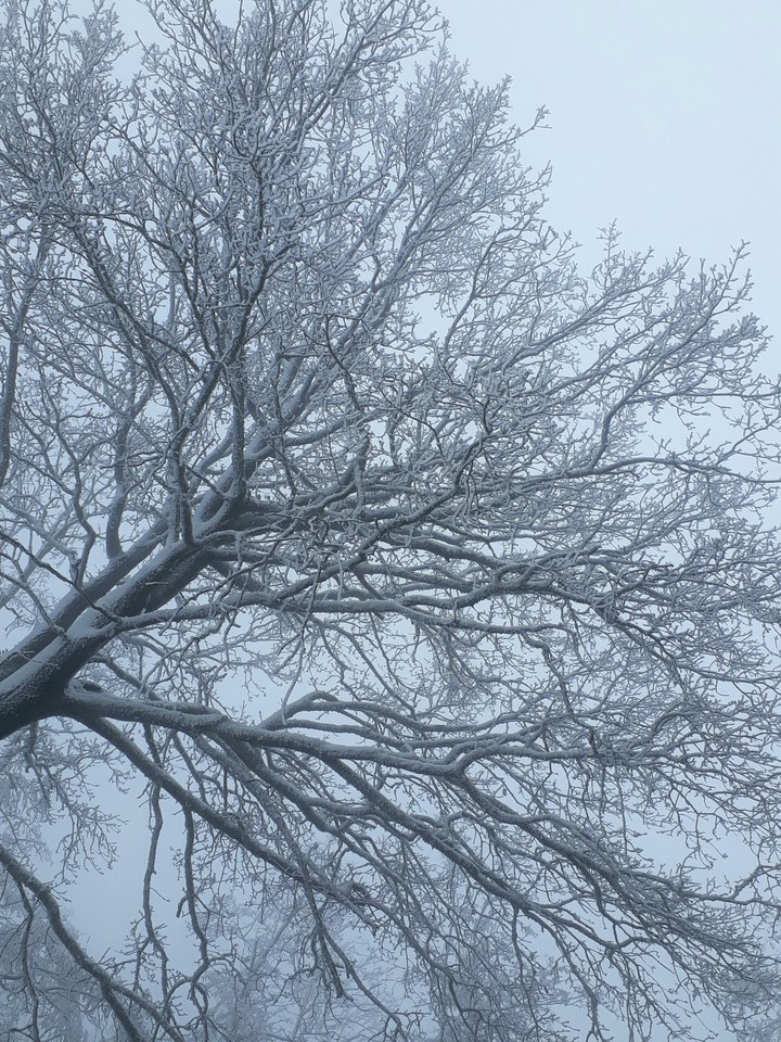 winterwonderland