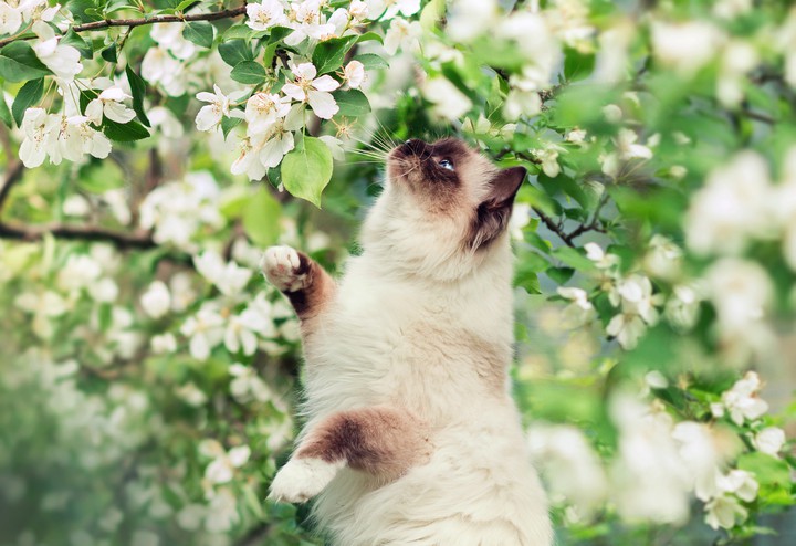 Spring is coming
