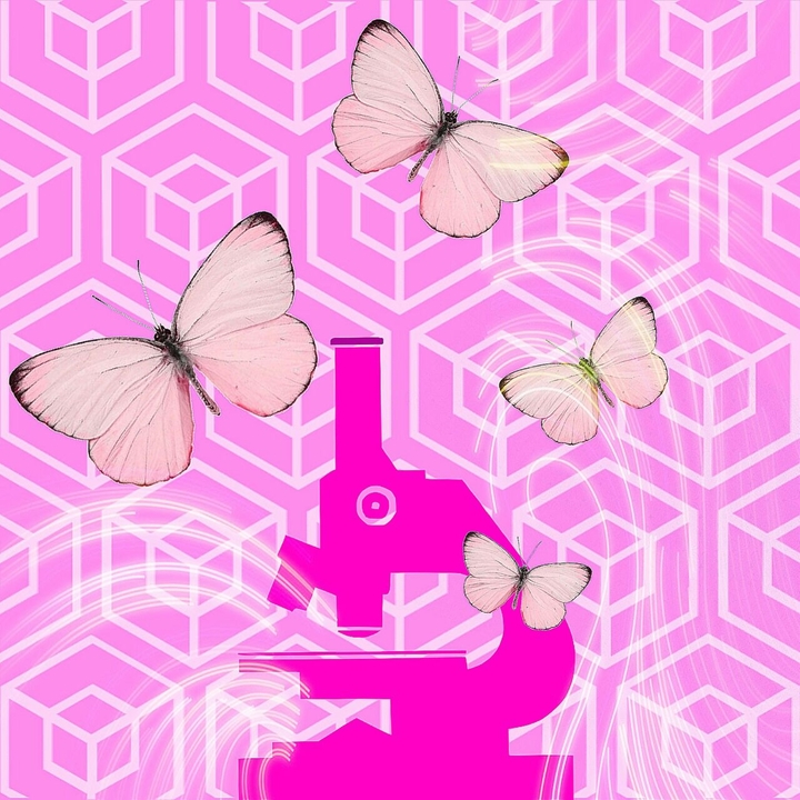 Microscopio