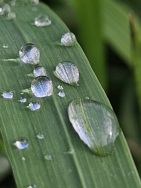hình nền liquid, Water
