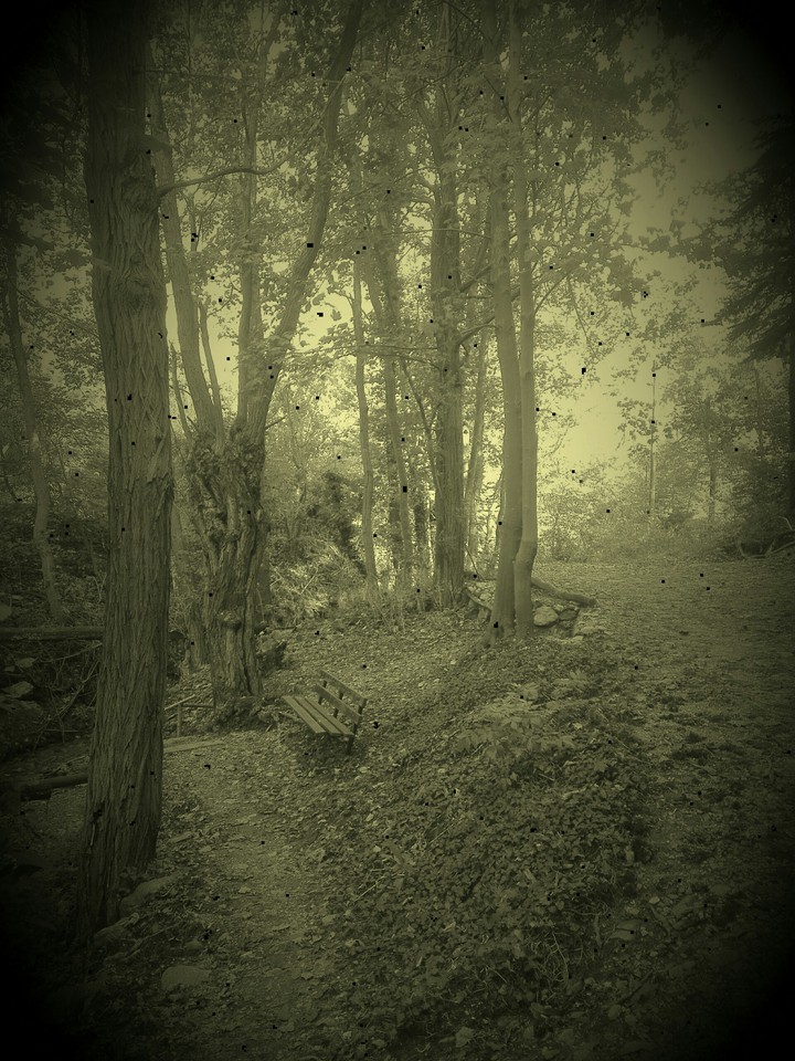 vintage wood