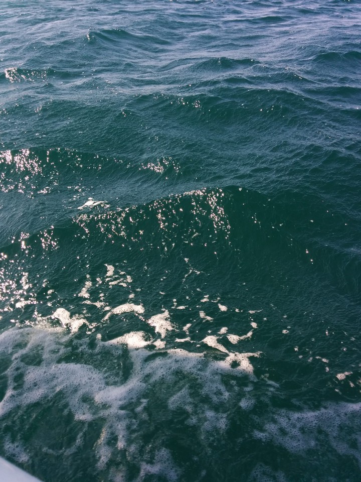 sea3