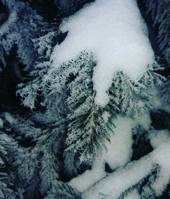 winter