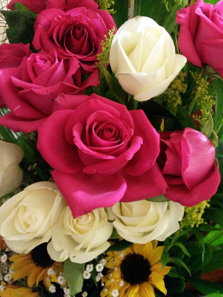 rose