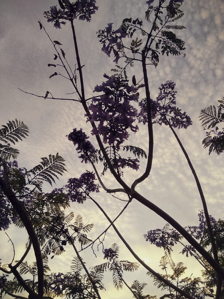 evening sky