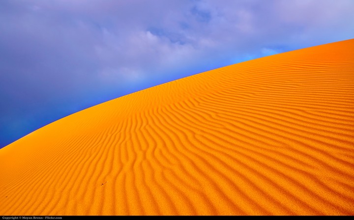 Desert