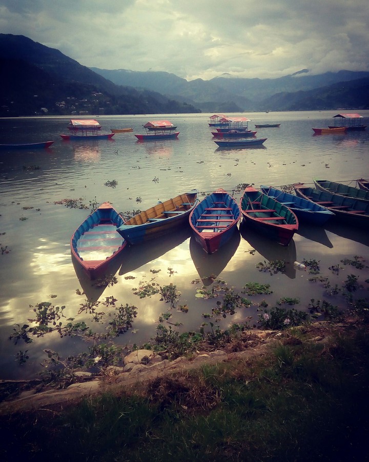 boats