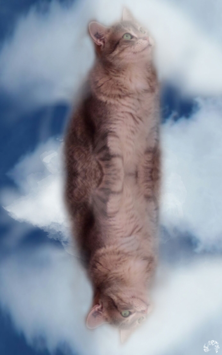 Dans les nuages