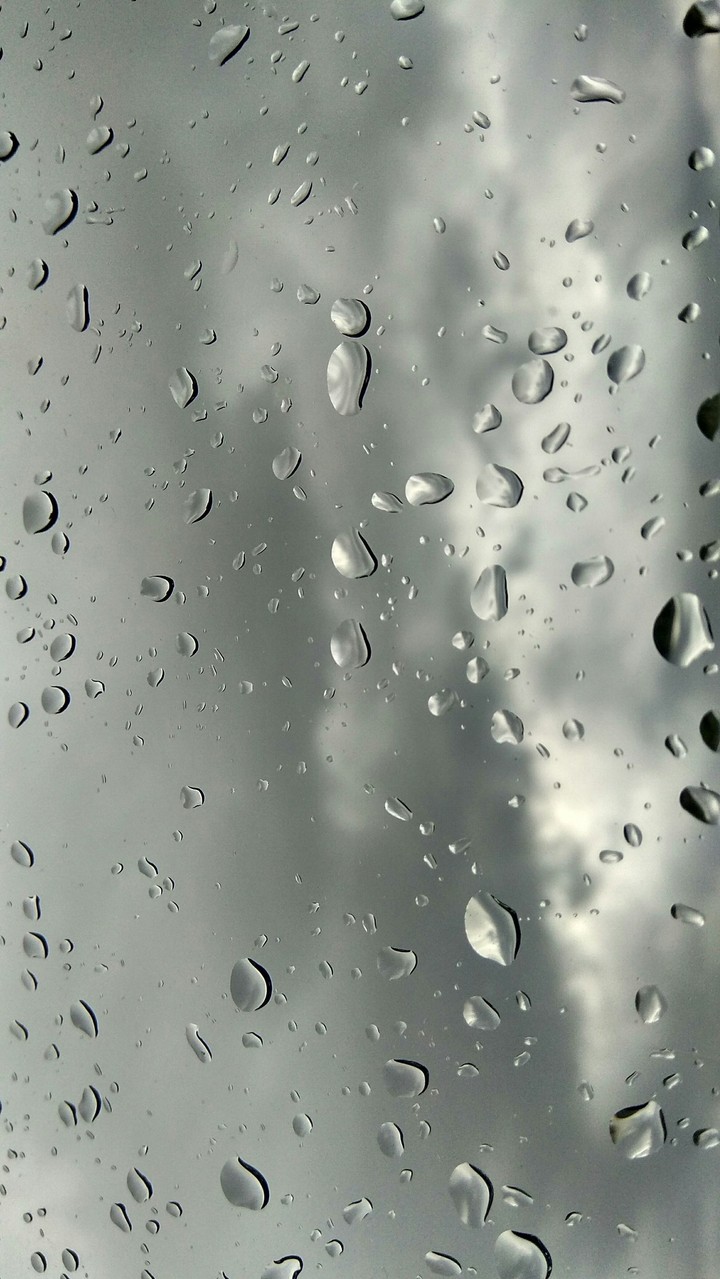 rain