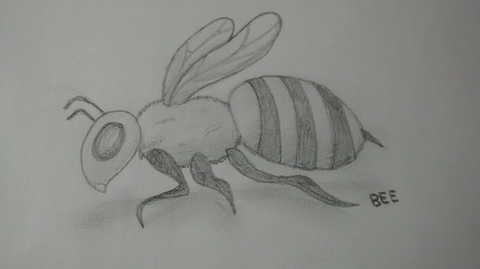 Adriana's bee