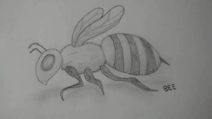 Adriana's bee