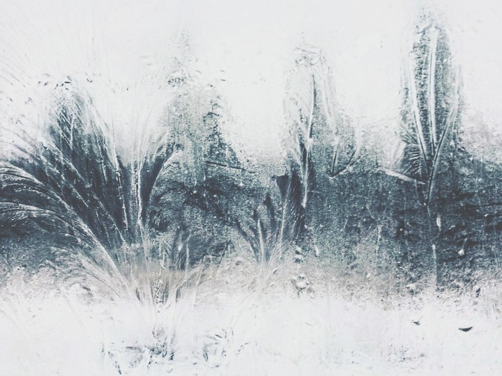 frosty beauty
