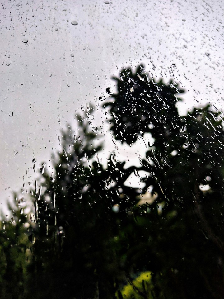 Drops of joy