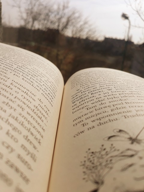 My Book