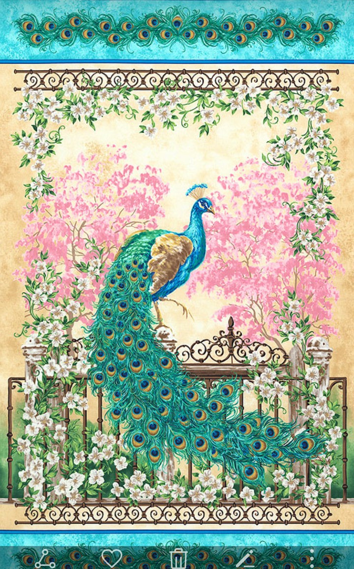 peacock