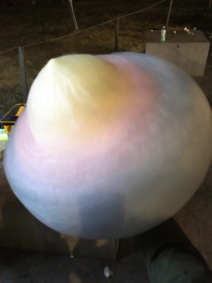 솜사탕 cotton candy