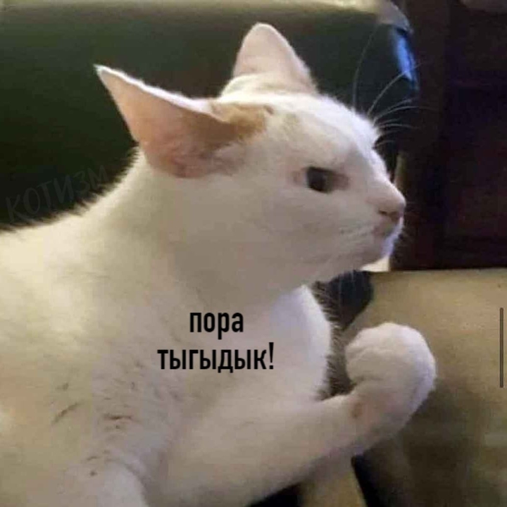 тыгыдык