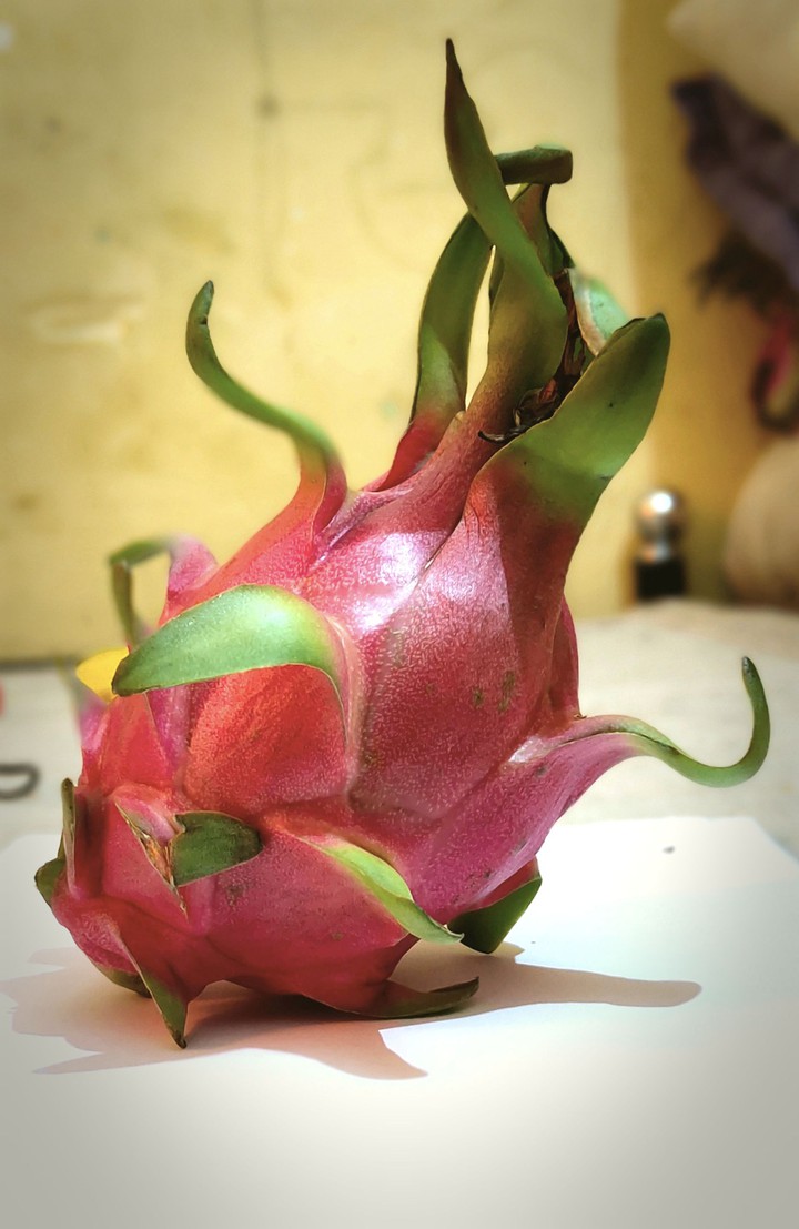 Dragon fruit