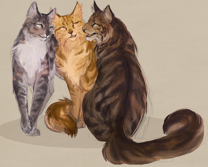 коты воители