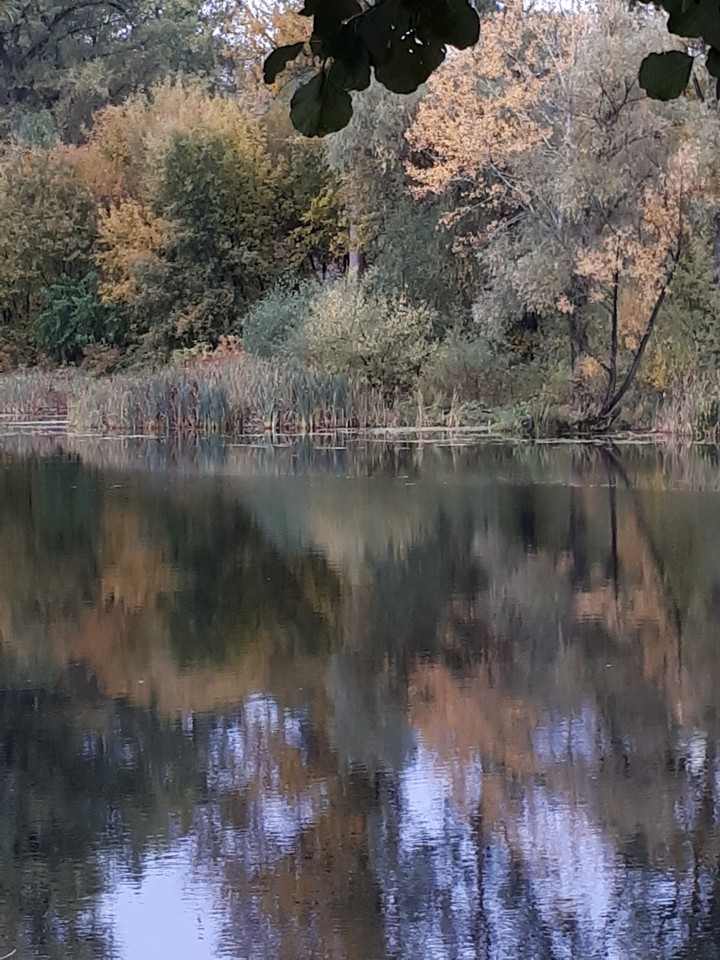 Красота...