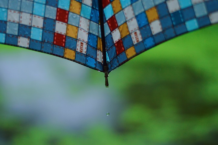 Umbrella