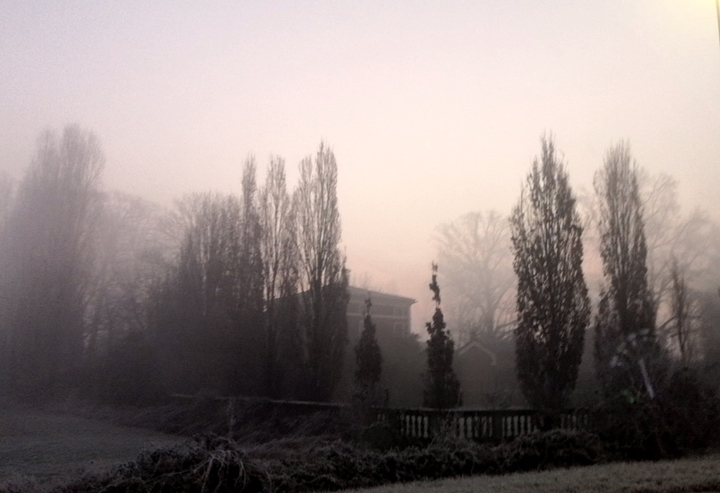 Winter morning