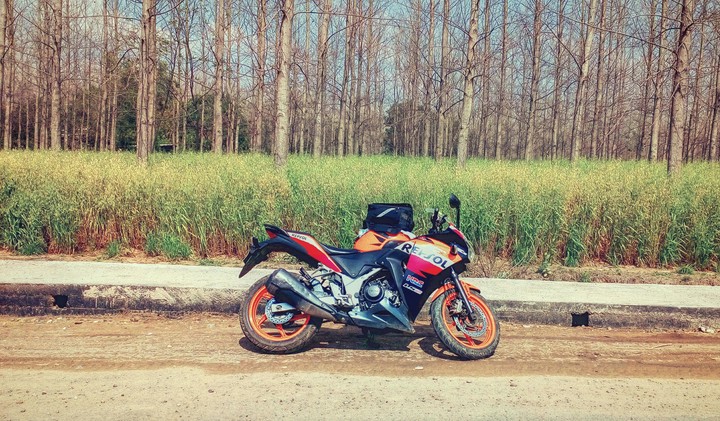 Bike in farm