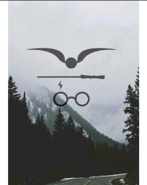 Harry Potter ⚡⚡⚡
