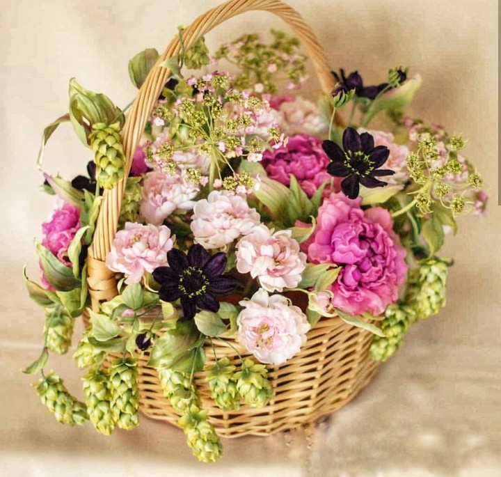 basket
