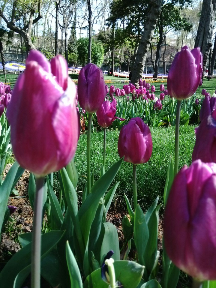 gülhane istanbul