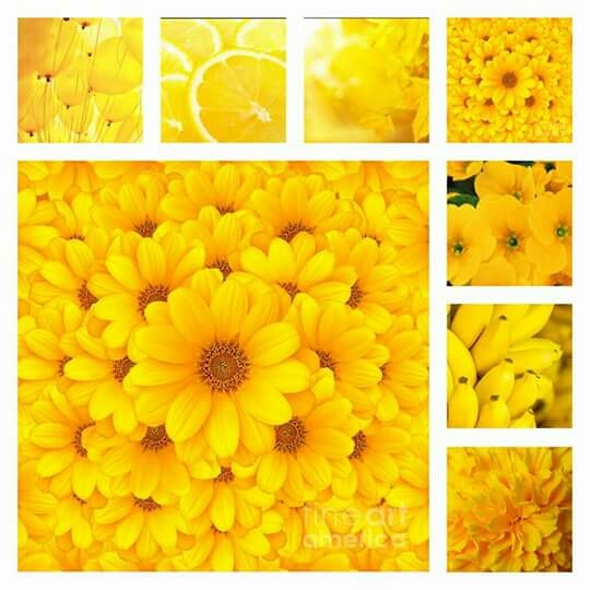 yelow