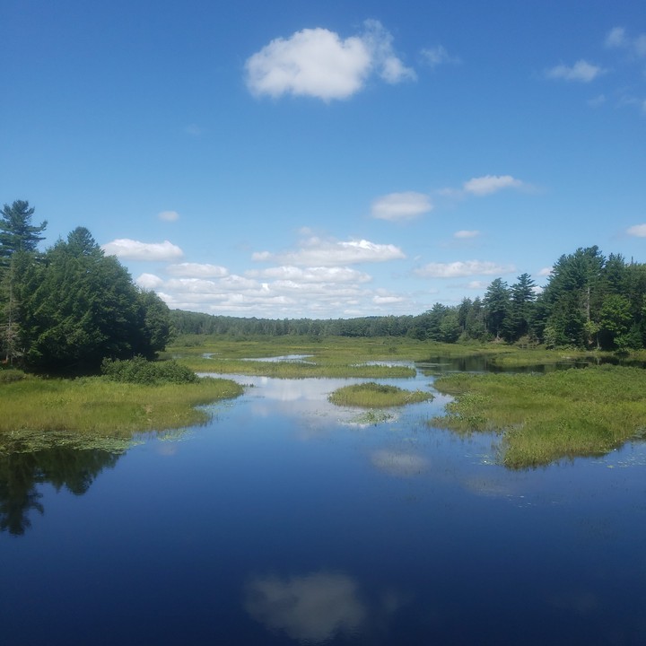 moose river