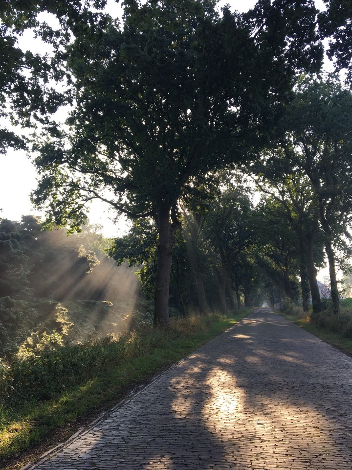 morningsun