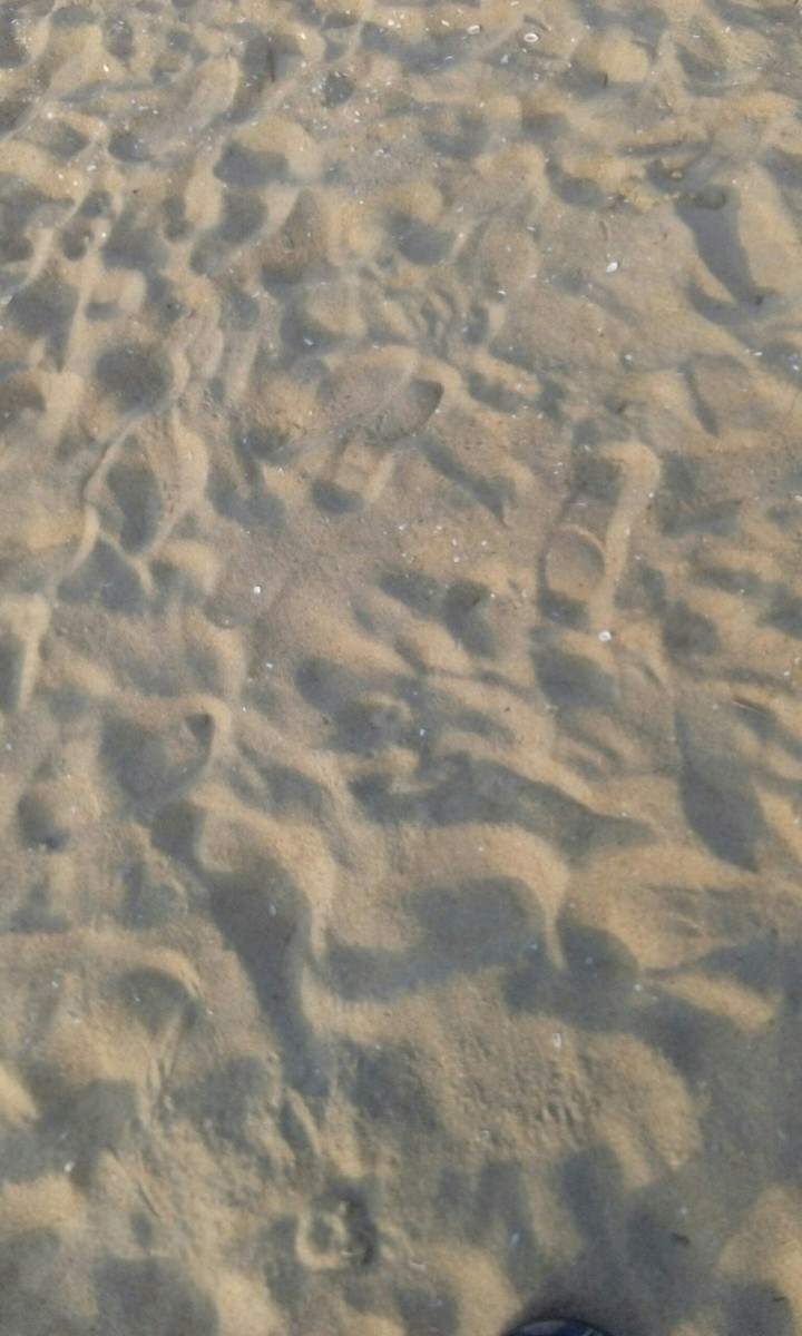 seashore