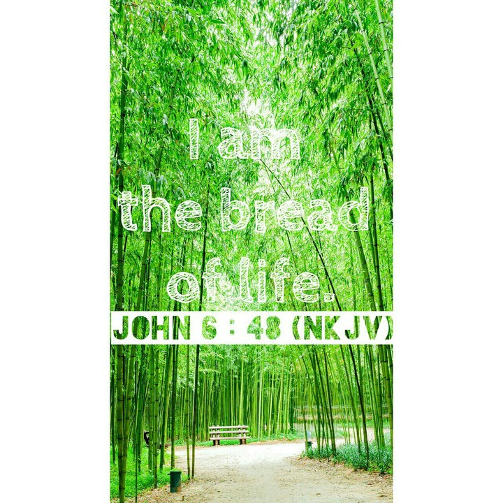 Jesus is the bread of life