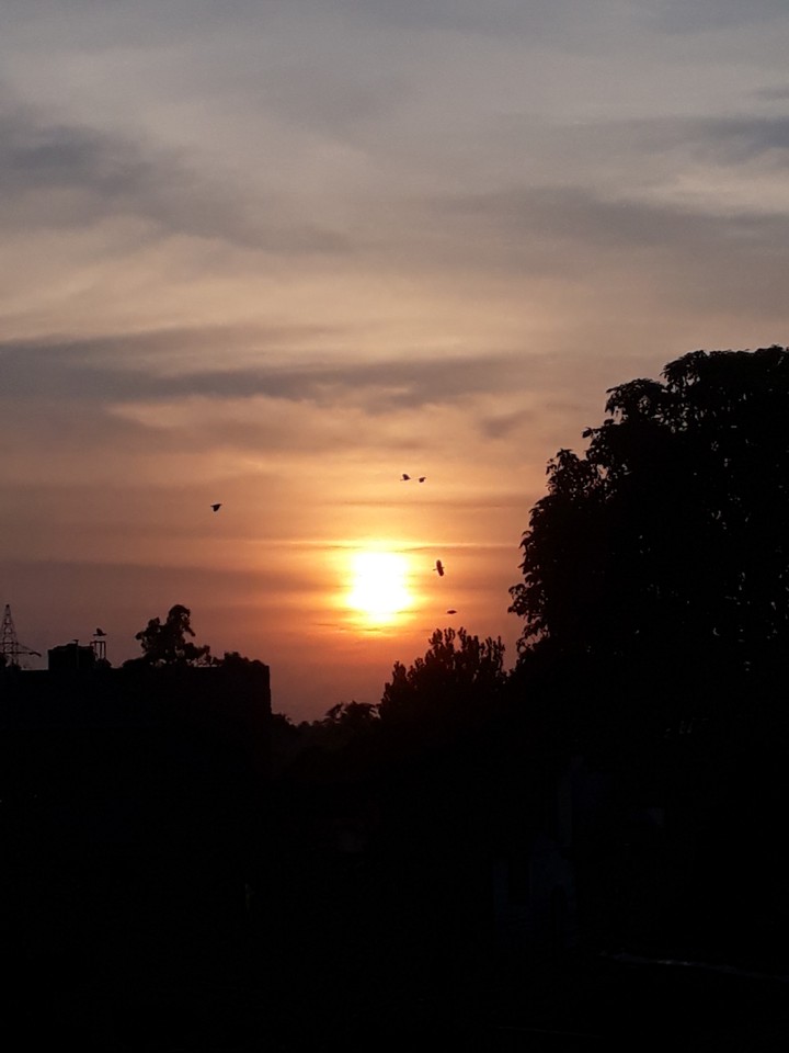 Evening Sun