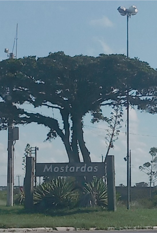 mostardas rs