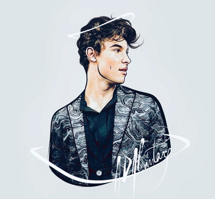 shawn mendes