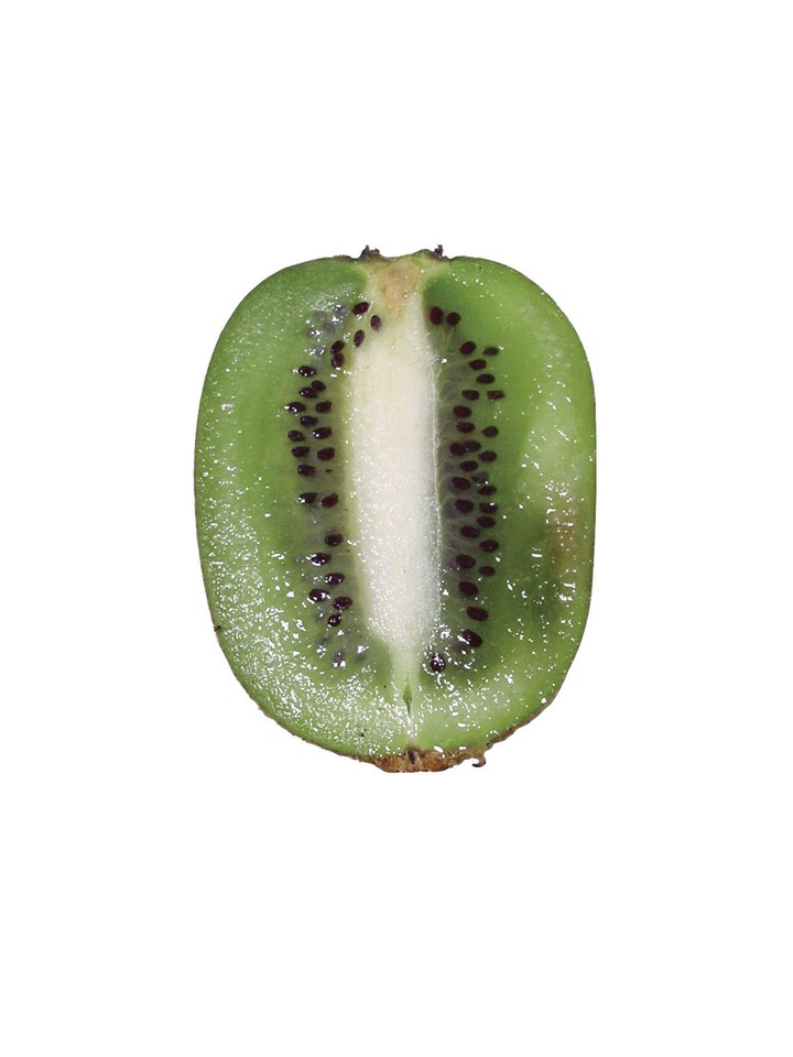 음식이미지
