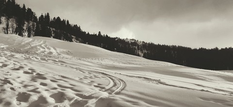let's roll over in this snow